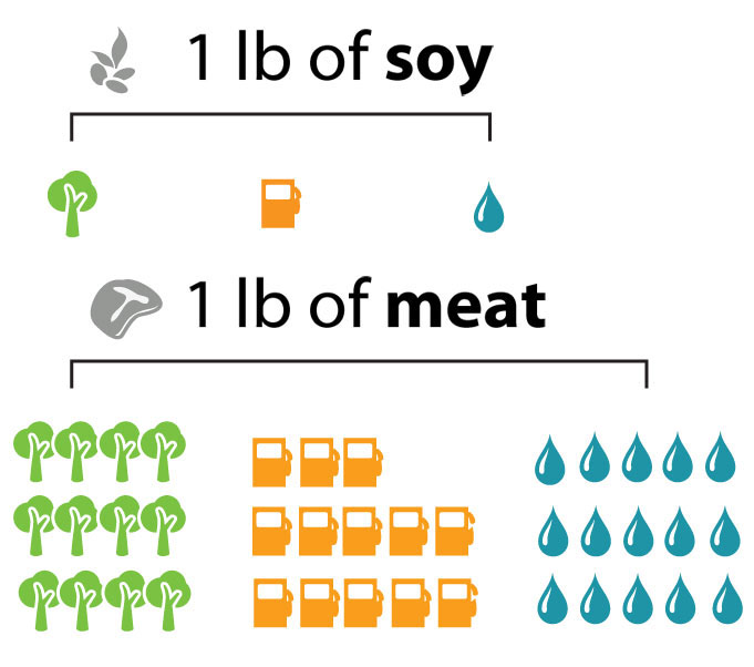 How to eat vegetarian or vegan to protect the planet, fight climate change, prevent pollution, and save natural resources.