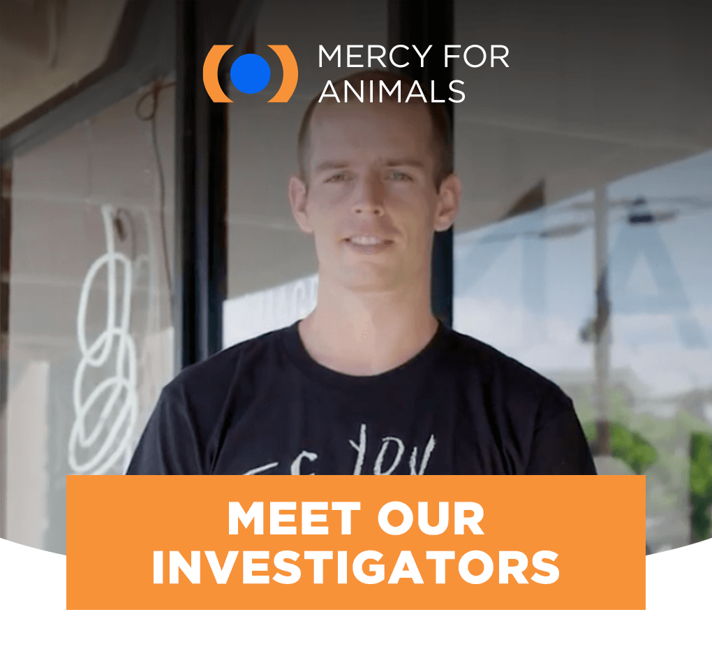 MEET OUR INVESTIGATORS