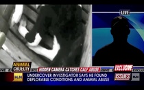 cnnissuese6.jpg