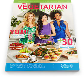 Free Cookbook, From ImagesAttr