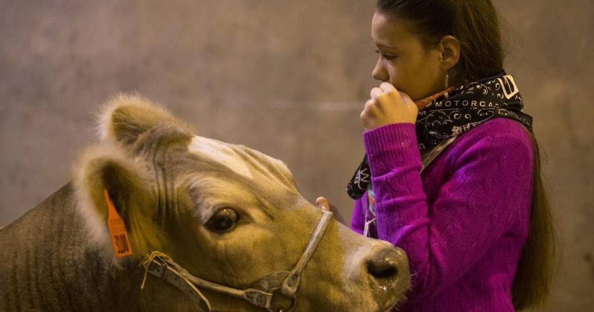 Fuerte conexiÃ³n entre una chica y un toro se hace viral