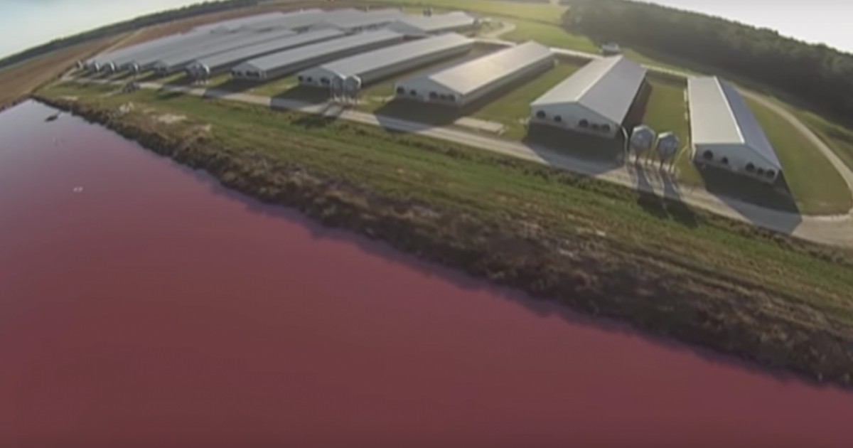 Instalaciones industriales de Carolina del Norte envenenan comunidades rurales