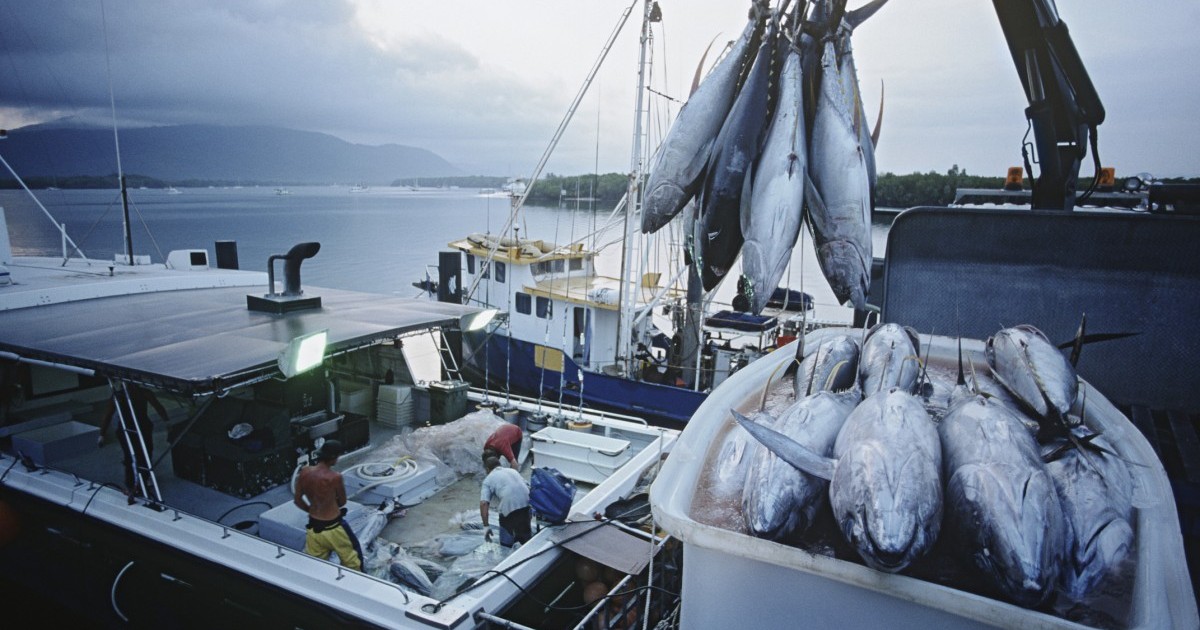 4 razones por las que los mariscos no son tan saludables como crees