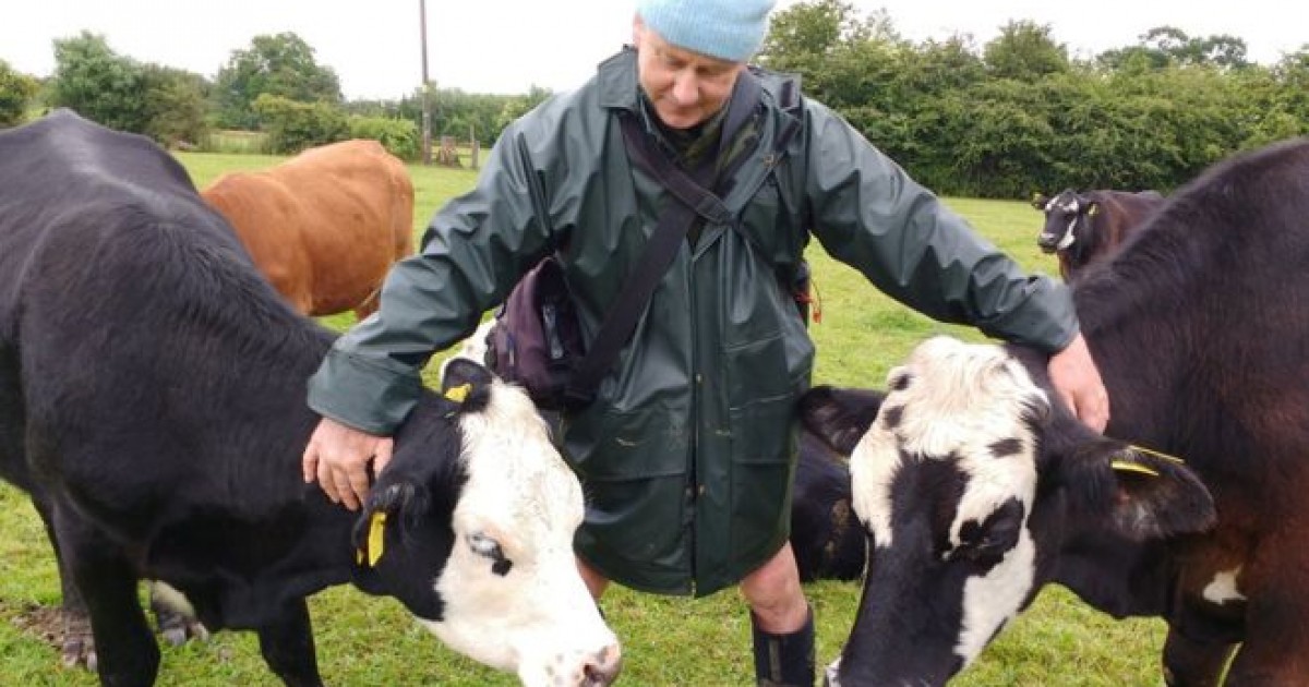 Este propietario de una granja hizo un cambio de 180Âº y enviÃ³ a sus vacas a un santuario