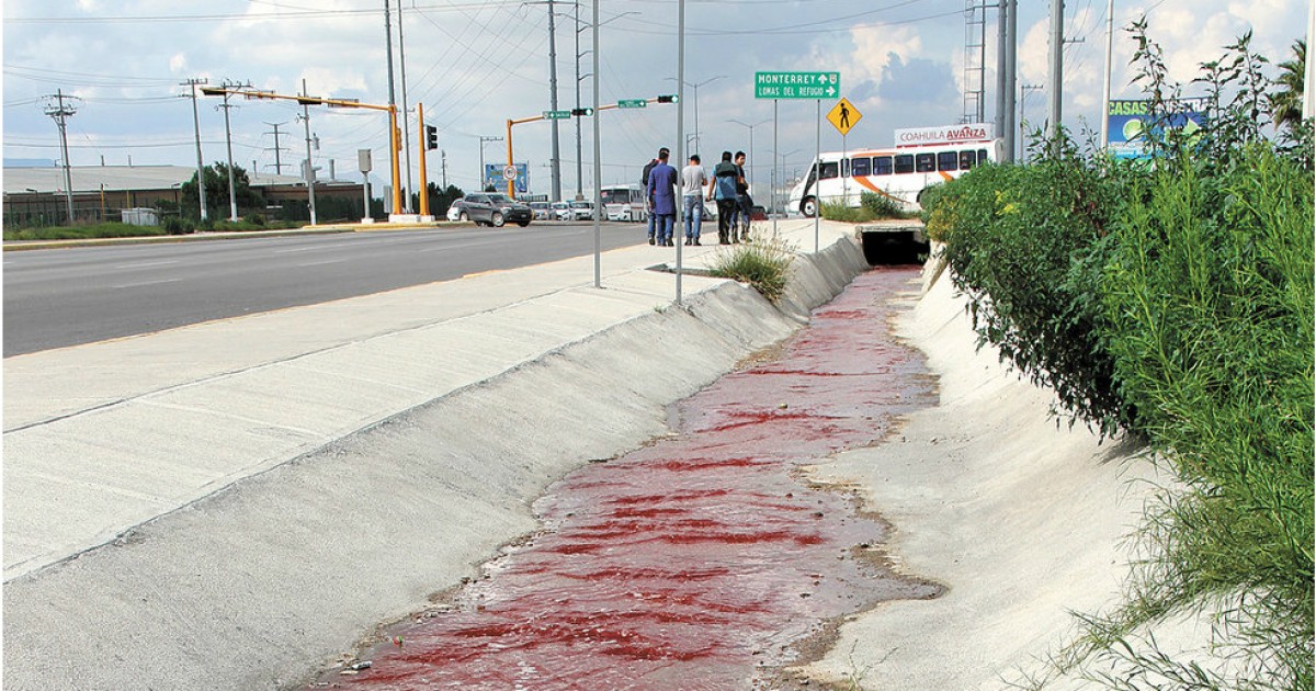 Rastro municipal de Saltillo vierte sangre en el drenaje de la ciudad