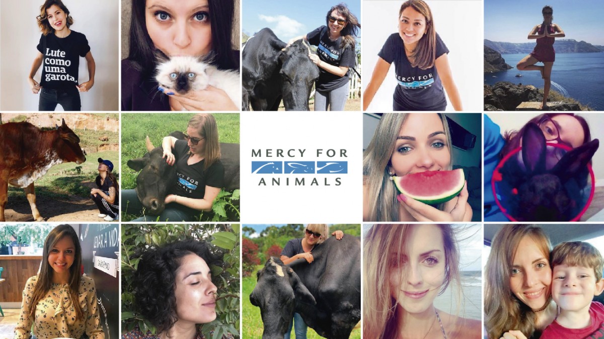 ConheÃ§a as 14 mulheres incrÃ­veis Ã  frente da Mercy For Animals Brasil
