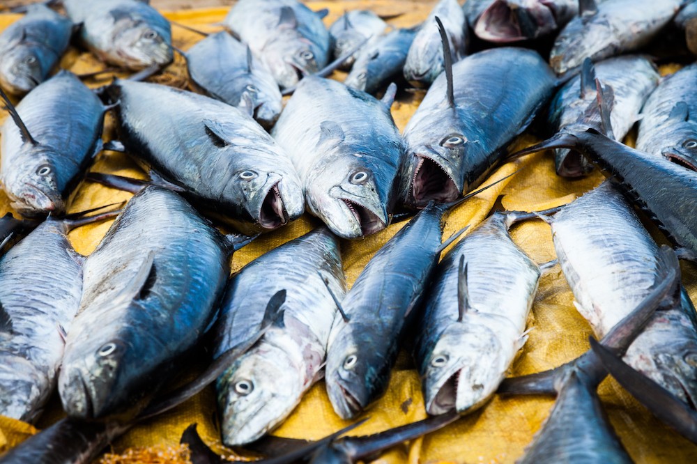 Dwindling Fish Populations Donâ€™t Stop People From Eating More Fish