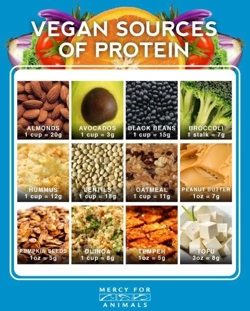 Here's What You're Missing When You Say, “You Need Meat to Get Protein ...