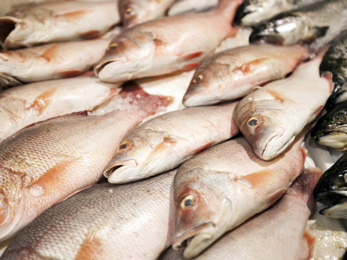 Fish Fraud: If Youâ€™re Still Eating Fish, This Will Probably Make You Say WTF