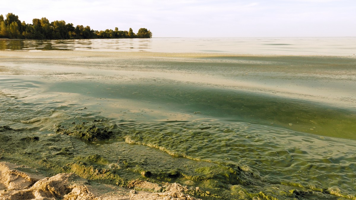 Report: U.S. and Canadian Farms Are Devastating the Great Lakes