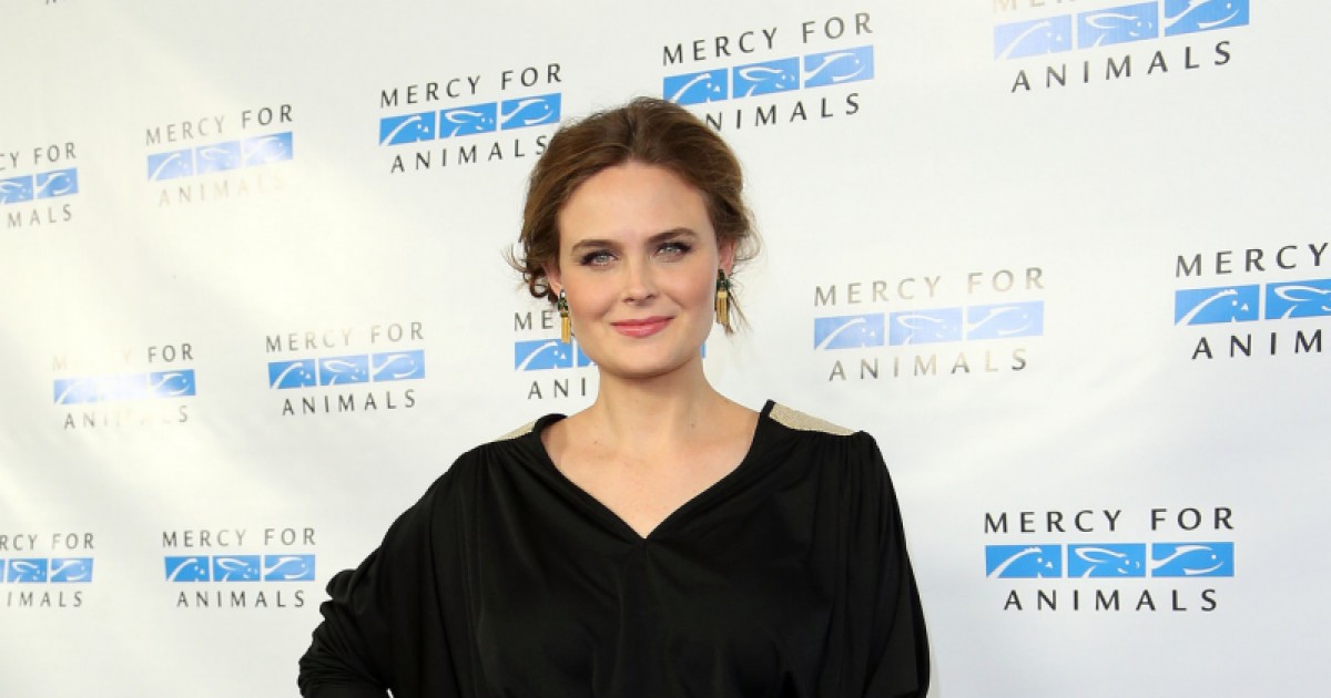 11 Hollywood Stars Who Are Certified Vegans