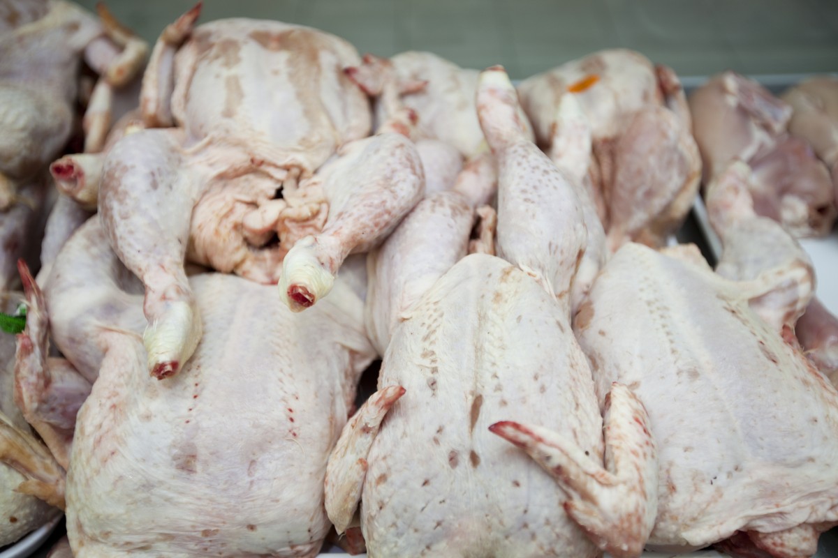 Todayâ€™s Chicken Meat Contains 224 Percent More Fat