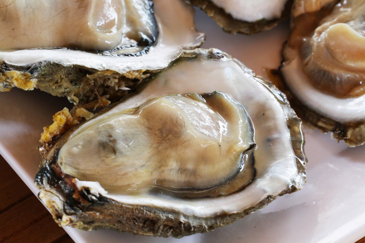 New Strain of Bacteria Causing People Who Eat Seafood to Get Very Sick