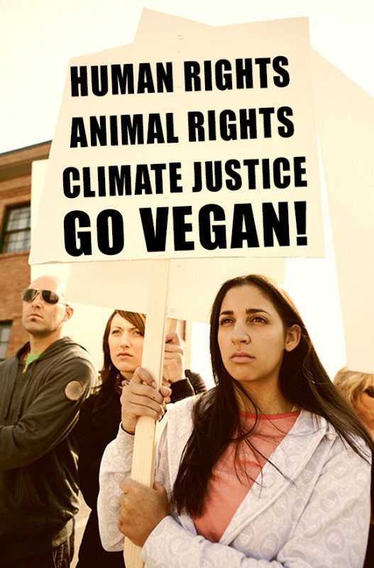 11 Vegan Sign Ideas to Rock at the Climate March - Mercy For Animals