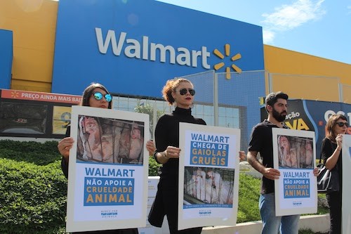 Why Walmart failed in Brazil - The Brazilian Report