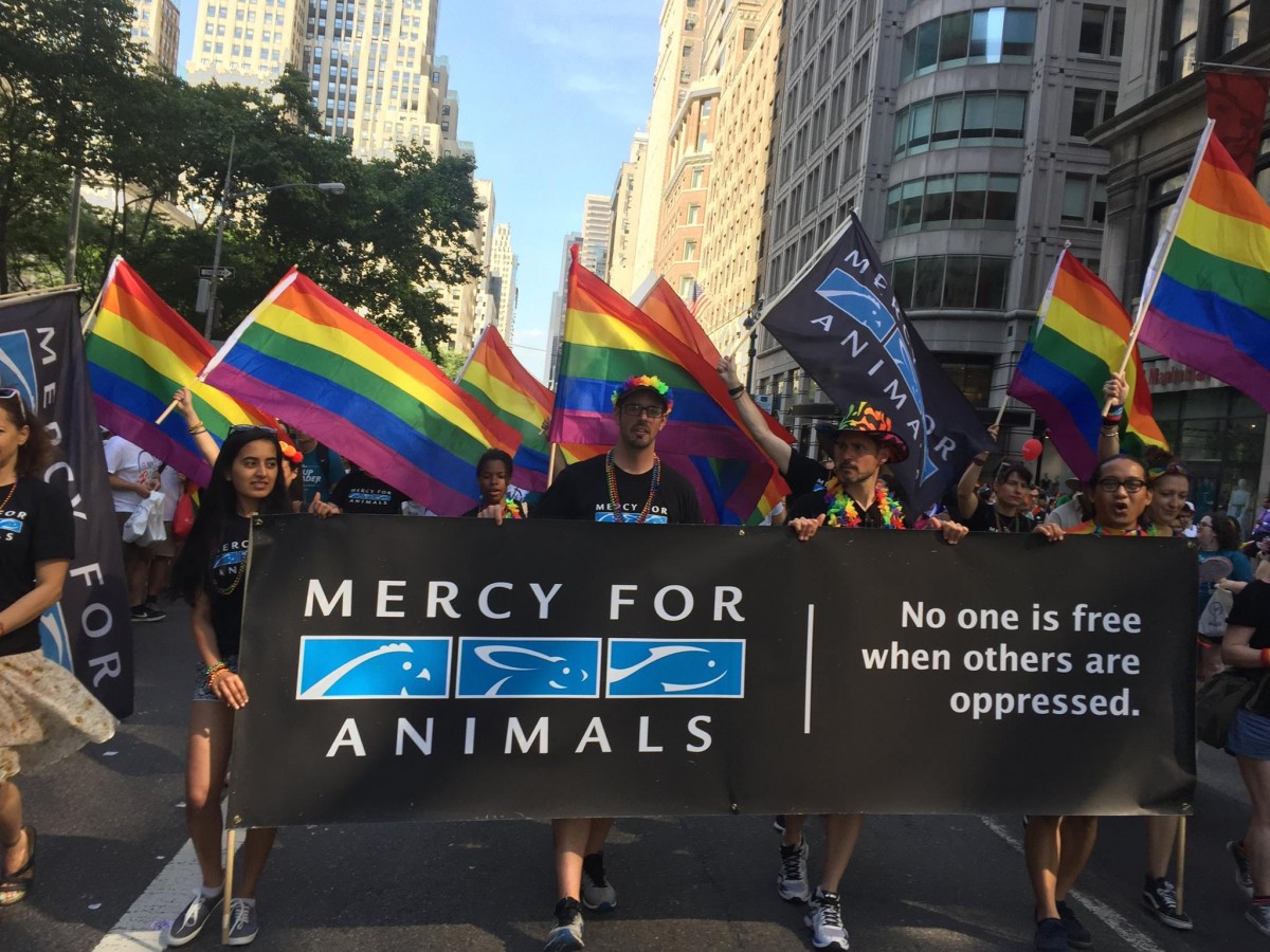 MFA Supporters March in Pride Parades Across the Country to Spread Message of Compassion
