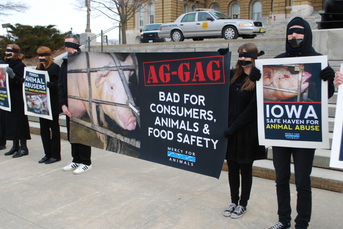 ACLU Sues Iowa Over Ag-gag
