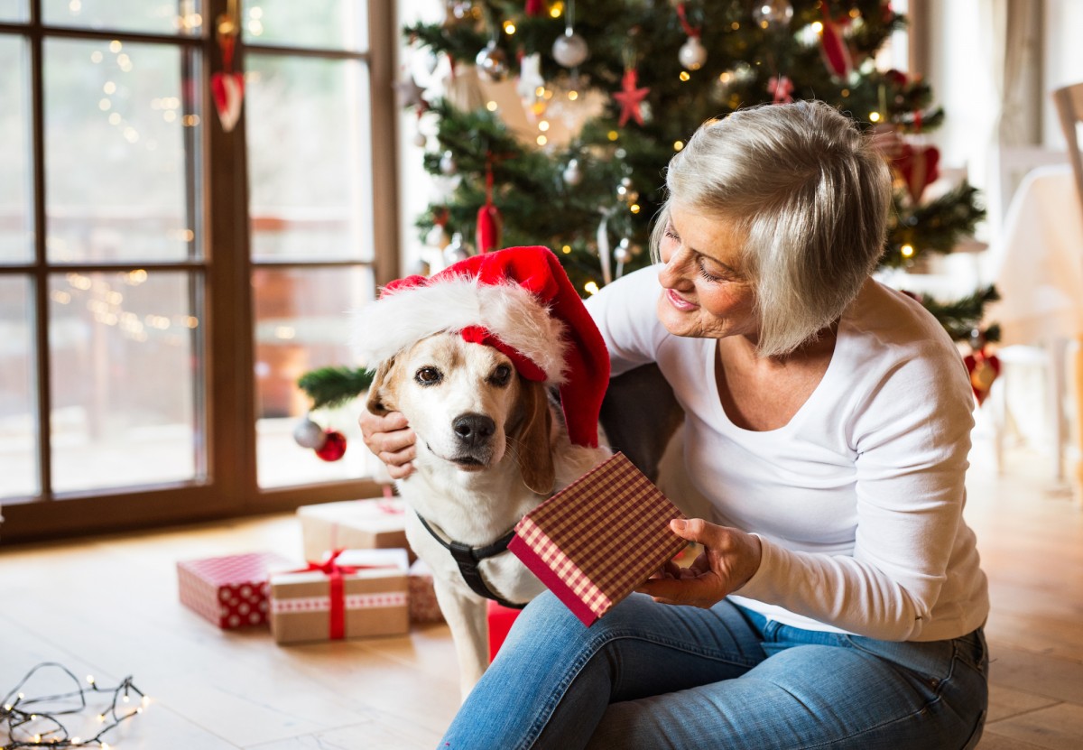 Buying Presents for Your Dog? Give Animals the Perfect Gift This Holiday.