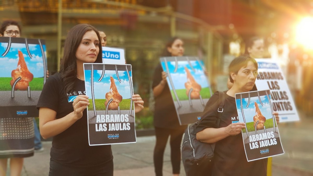 MFA Holds First Protest in Mexico, Urges Walmart to Ban Cruel Cages