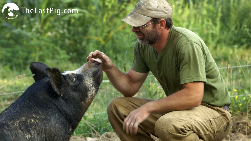 HistÃ³ria real de fazendeiro que se tornou vegano e decidiu parar de criar porcos vira filme