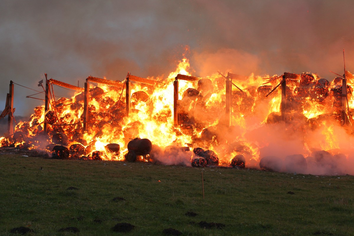 Devastating! Nearly 5,000 Pigs Burned Alive in Ohio Barn Fire
