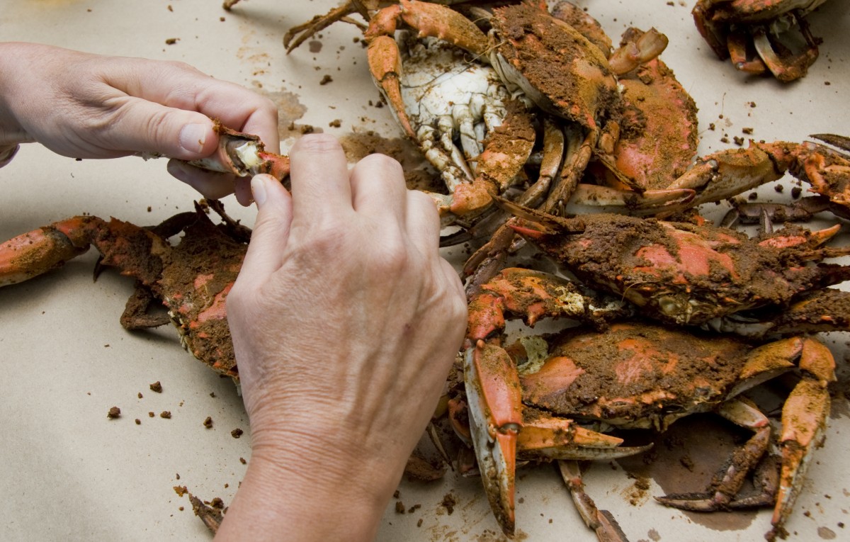 Vibrio Outbreak in Maryland Linked to Crab Meat. But Hereâ€™s Why You Should Really Stop Eating Crabs.