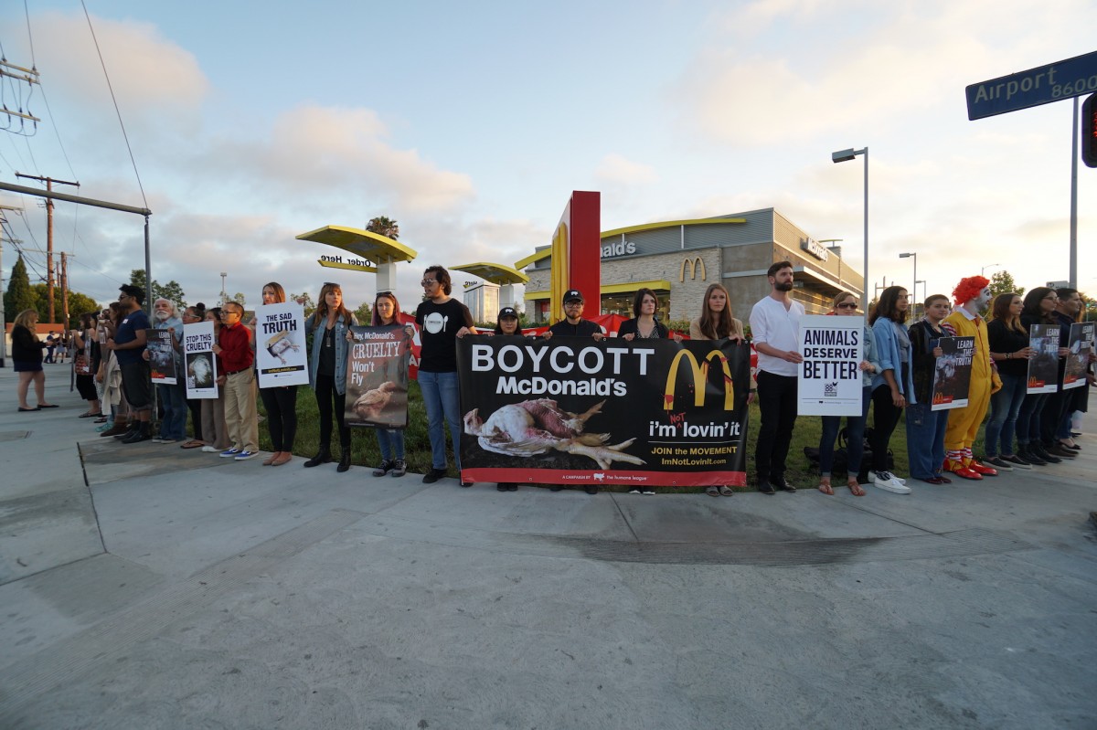 HUNDREDS of Animal Rights Activists Descend on Los Angeles McDonaldâ€™s Demanding Change
