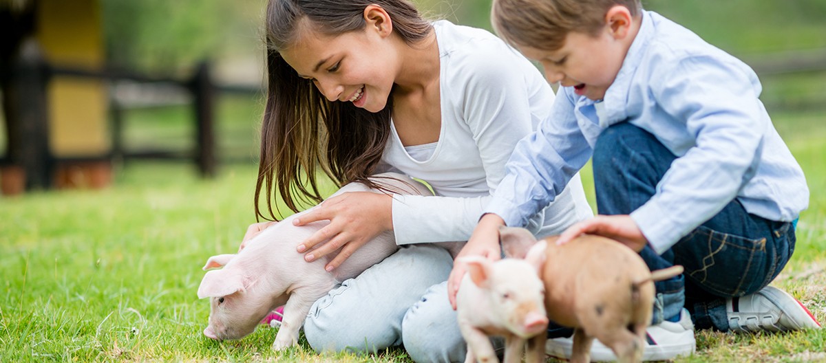 5 coisas para responder quando te dizem para salvar crianÃ§as ao invÃ©s de animais