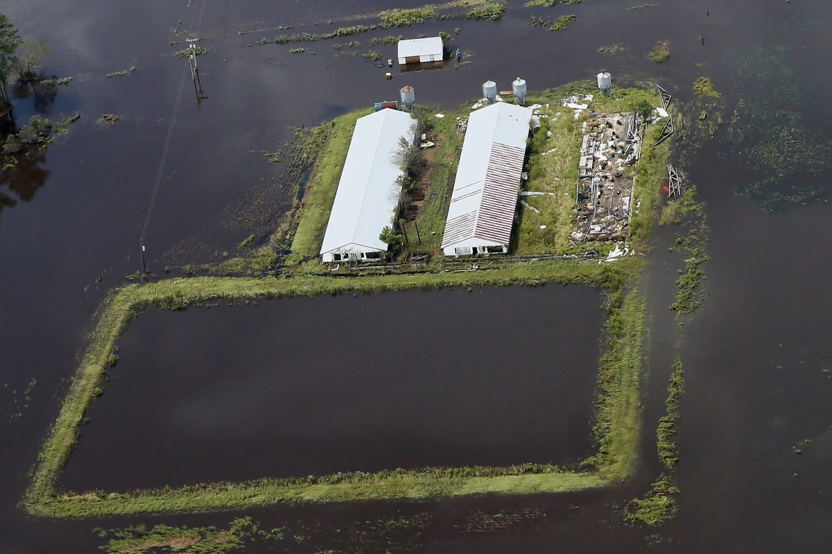 Hurricane Florence Flooding Contaminated NCâ€™s Drinking Water With Pig Sh*t