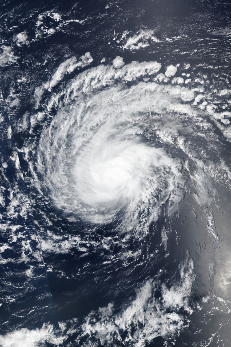 Here's How Hurricane Florence Will Affect Farmed Animals