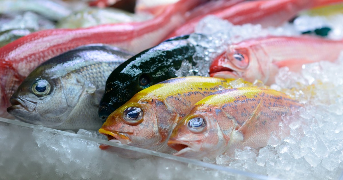 Si los peces sienten dolor, Â¿por quÃ© te los comes?