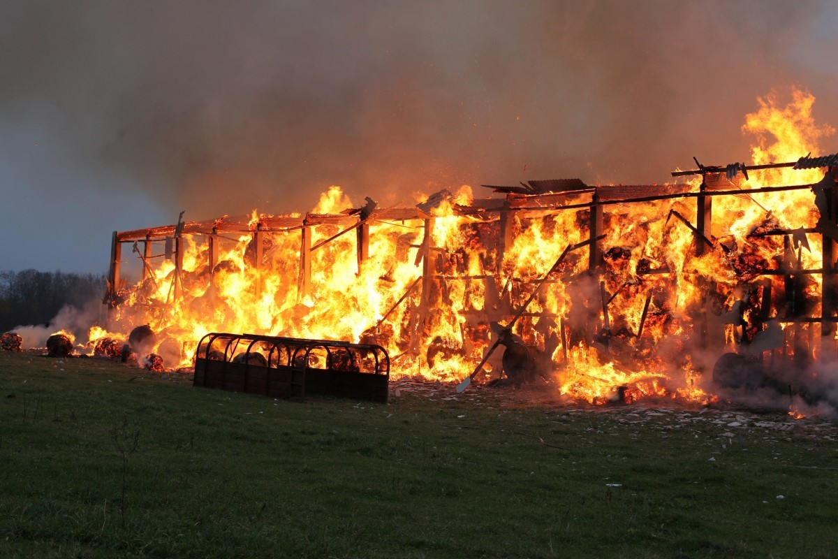 This Is Why Thousands of Farmed Animals Burn Alive Each Year in Barn Fires.