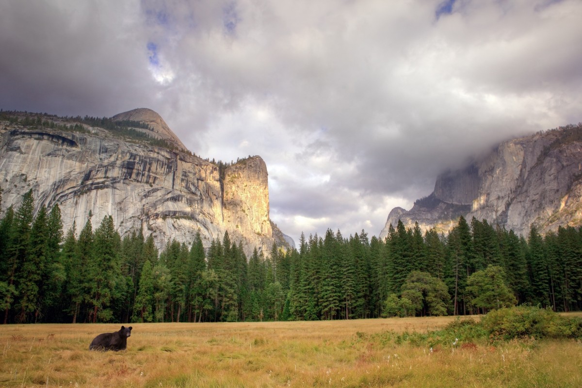 Americaâ€™s National Parks Are Being Ravaged by Climate Change. Hereâ€™s How Veganism Could Help.