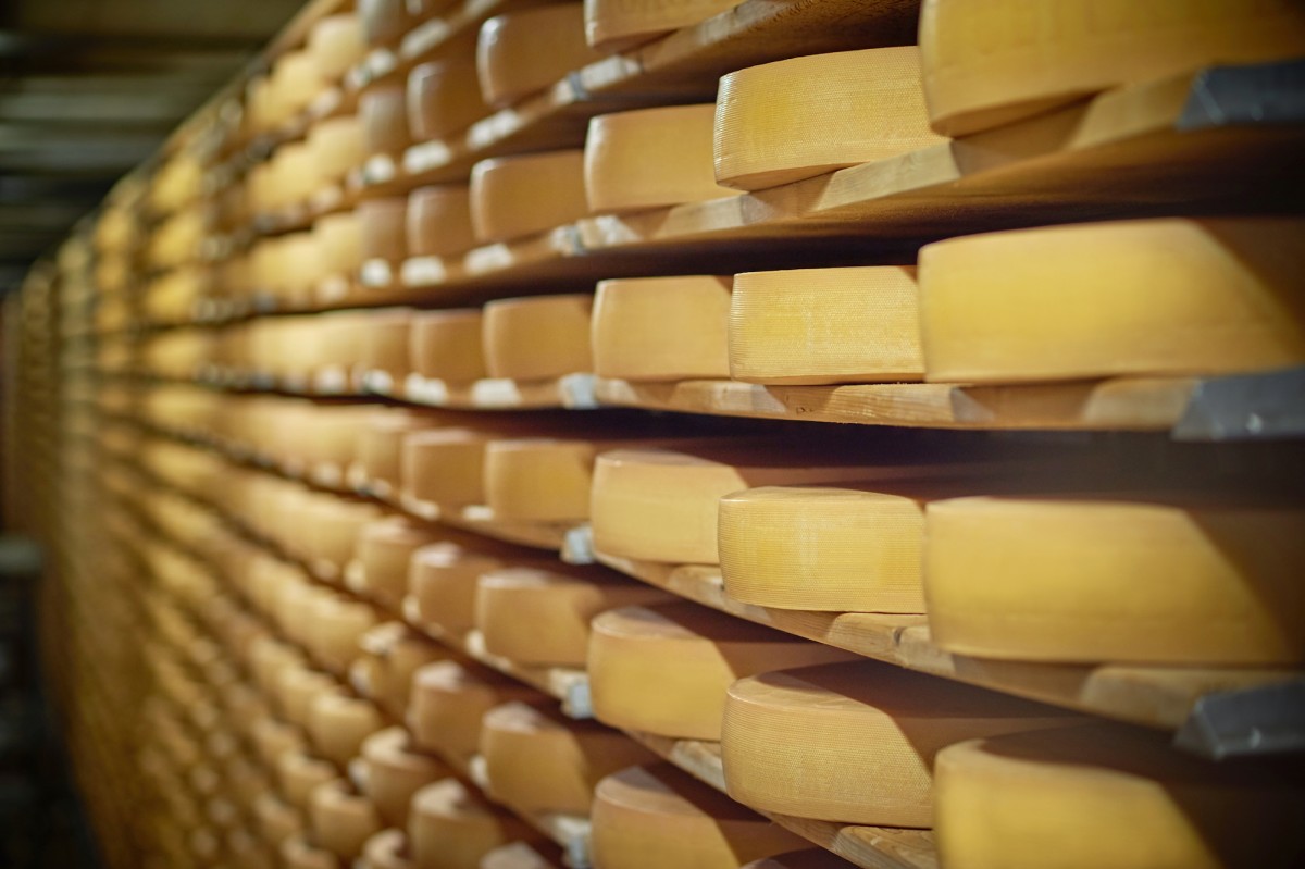 Nobody Wants Dairy Cheese, so 1.4 Billion Pounds Is Just Sitting in U.S. Warehouses