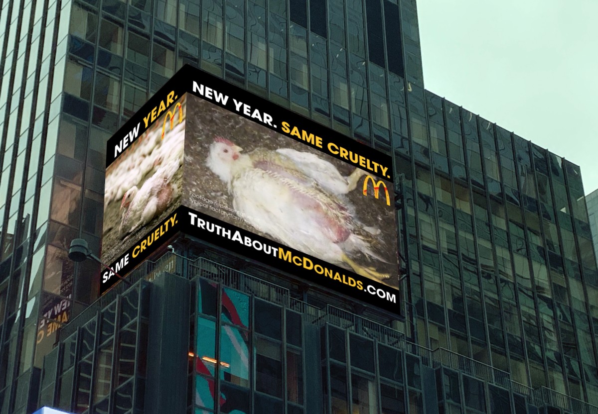 Millions of People Could See McDonaldâ€™s Animal Cruelty Ad in Times Square on New Yearâ€™s Eve
