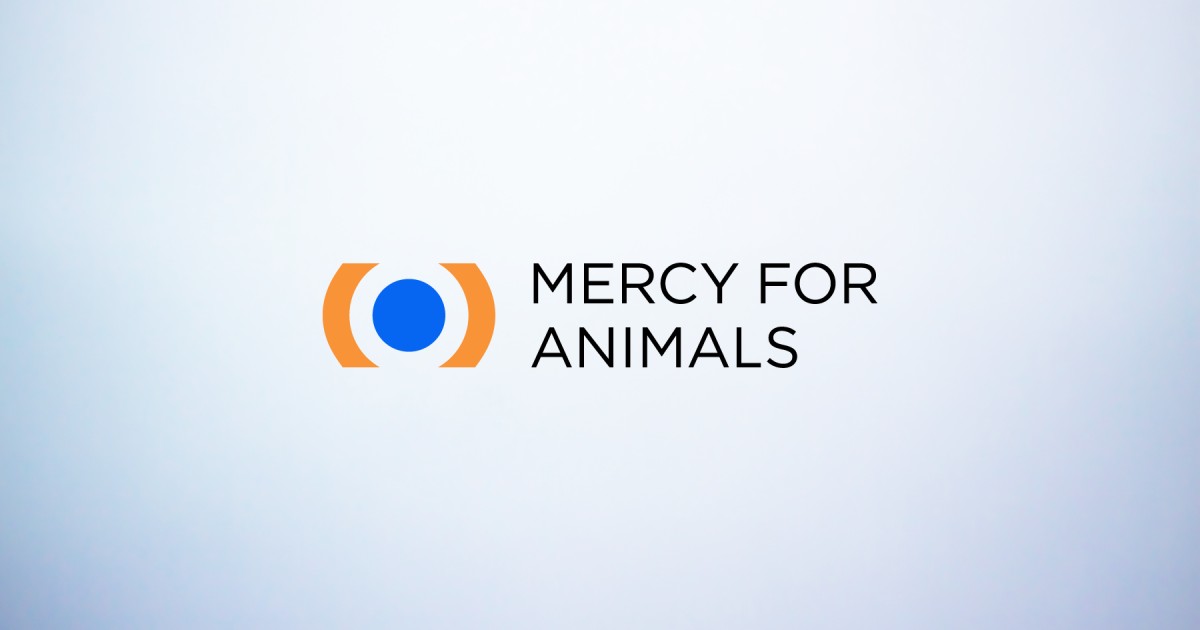 Mercy For Animals' New Visual Identity - Mercy For Animals