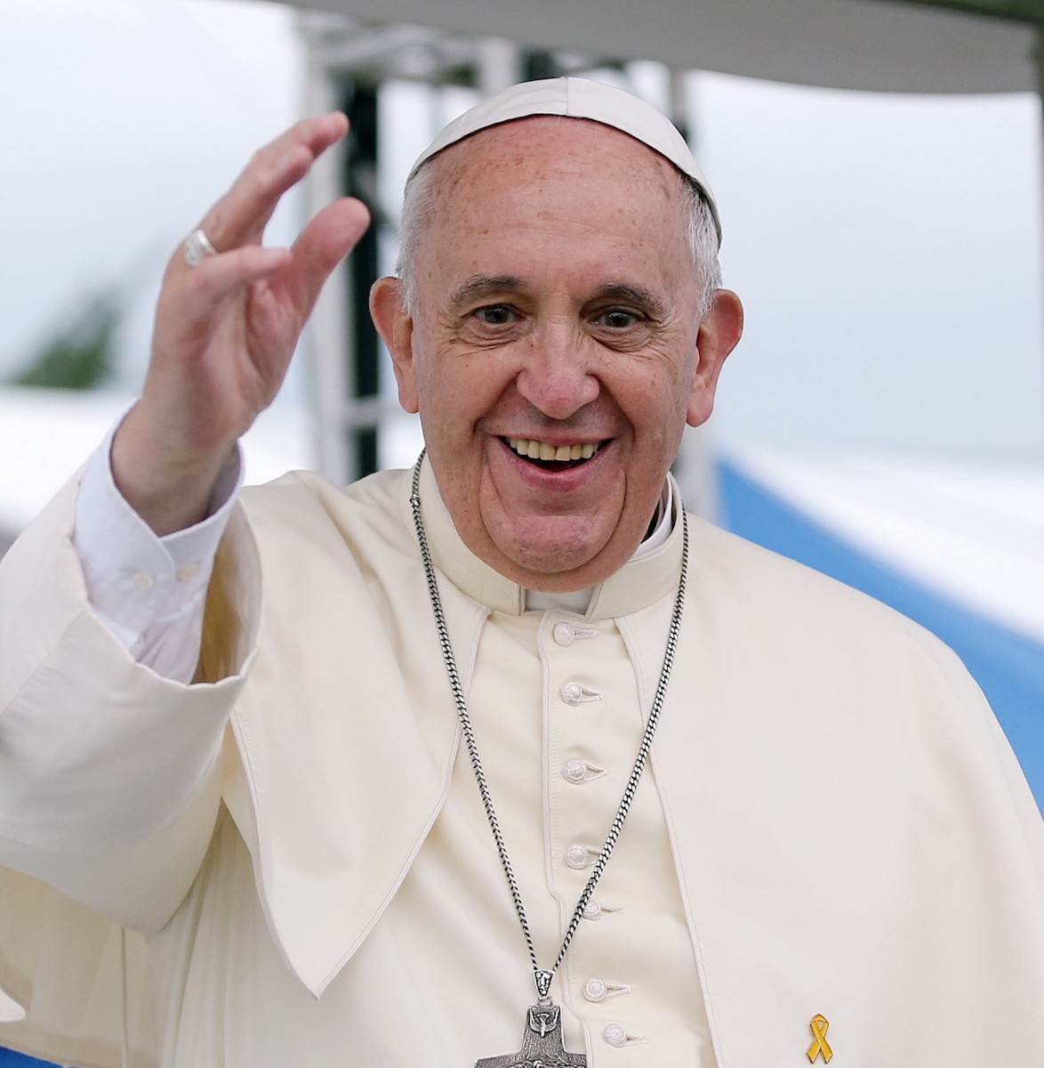 Campaign Offers Pope Francis  Million to Go Vegan for Lent
