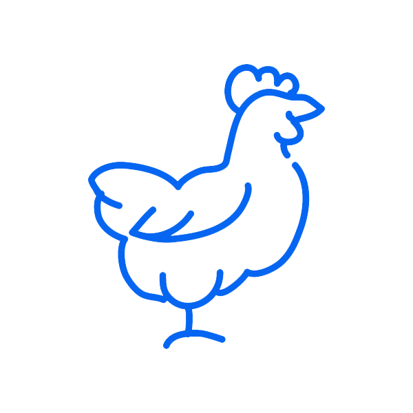 hen icon