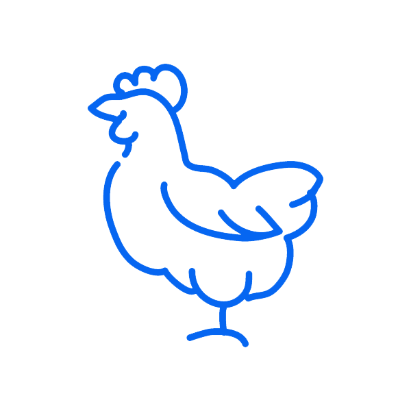 chicken icon