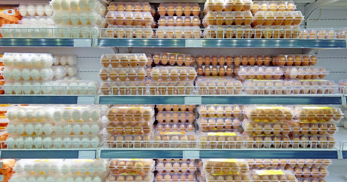 Nuevo estudio cientÃ­fico expone los riesgos para la salud asociados con el consumo de huevos