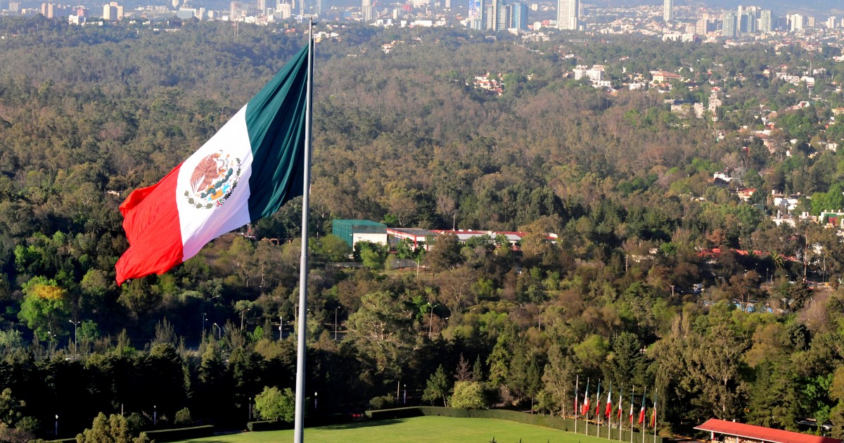 El Senado mexicano ahora servirÃ¡ opciones veganas gracias a la presiÃ³n de una de sus miembros