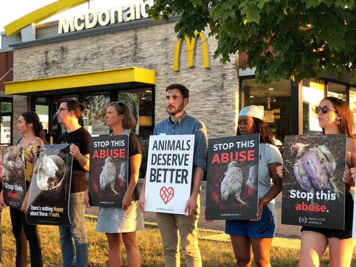 Over 140 Animal Advocates Protest in Virginia Against McDonaldâ€™s Cruelty