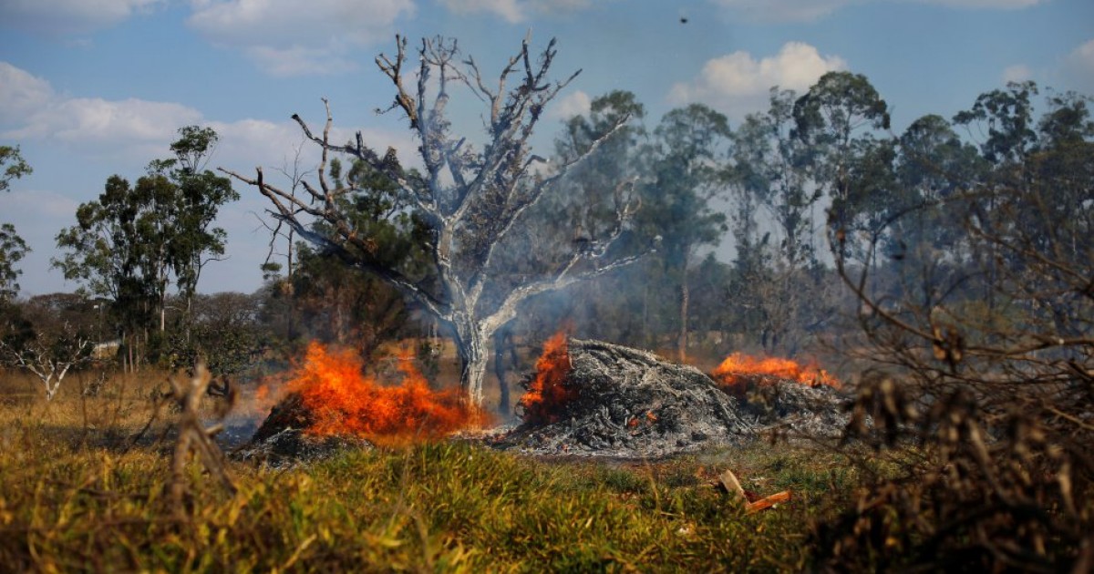El Amazonas se estÃ¡ incendiando catastrÃ³ficamente, esto es lo que puedes hacer