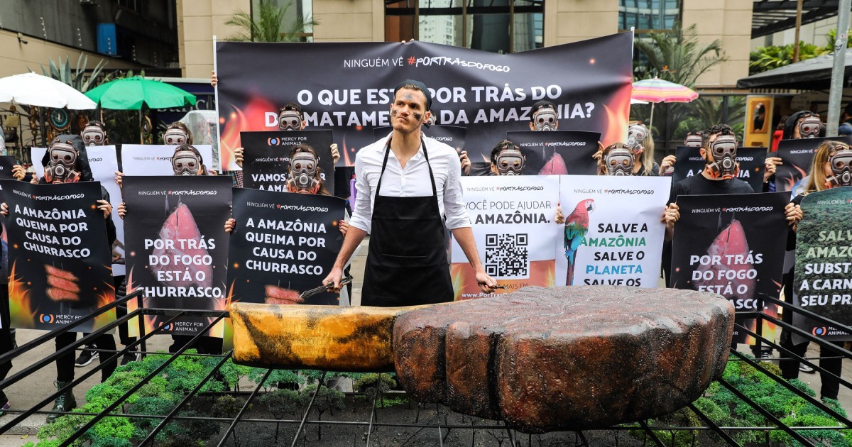 Activistas marcharon en SÃ£o Paulo para mostrar la verdad detrÃ¡s de los incendios en el Amazonas