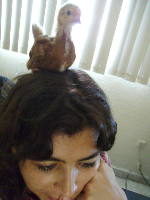 Eva with her companion animal, Patch