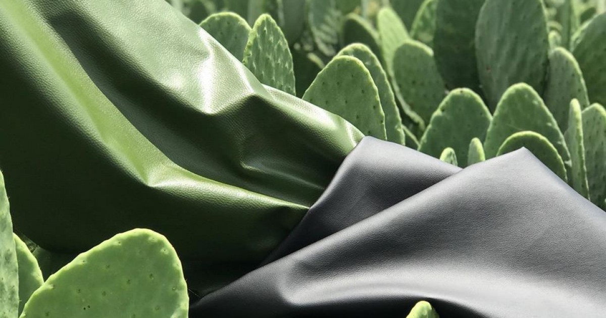 Emprendedores mexicanos desarrollaron una piel vegana hecha a base de nopal