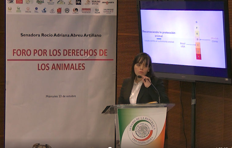 Fabiola Balmori giving a presentation