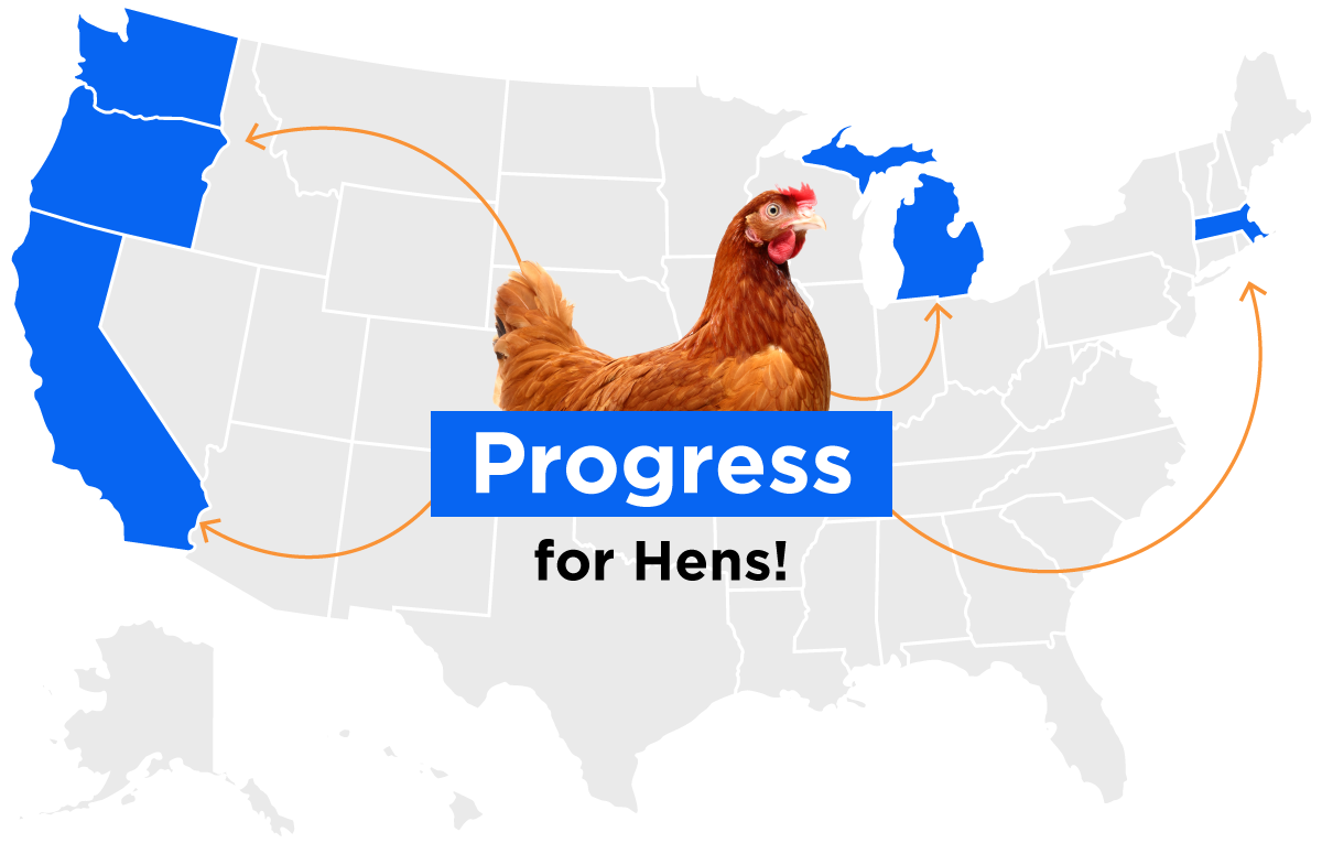 Progress for hens map