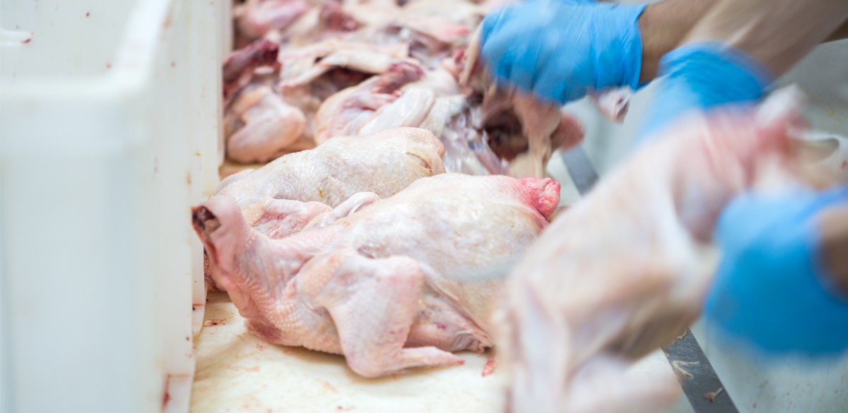 North Carolina Protects the Meat Industry by Concealing COVID-19 Information