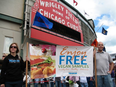 Wrigley Vegan Feed In.JPG